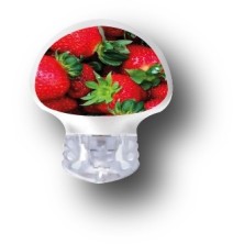 STICKER GUARDIAN / MODÈLE  Des fraises [254_11]