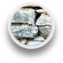 STICKER FREESTYLE LIBRE® 2 / MODELO Pedras [116_1]