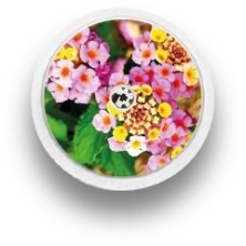 STICKER FREESTYLE LIBRE® 2 / MODELLO bouquet [242_1]